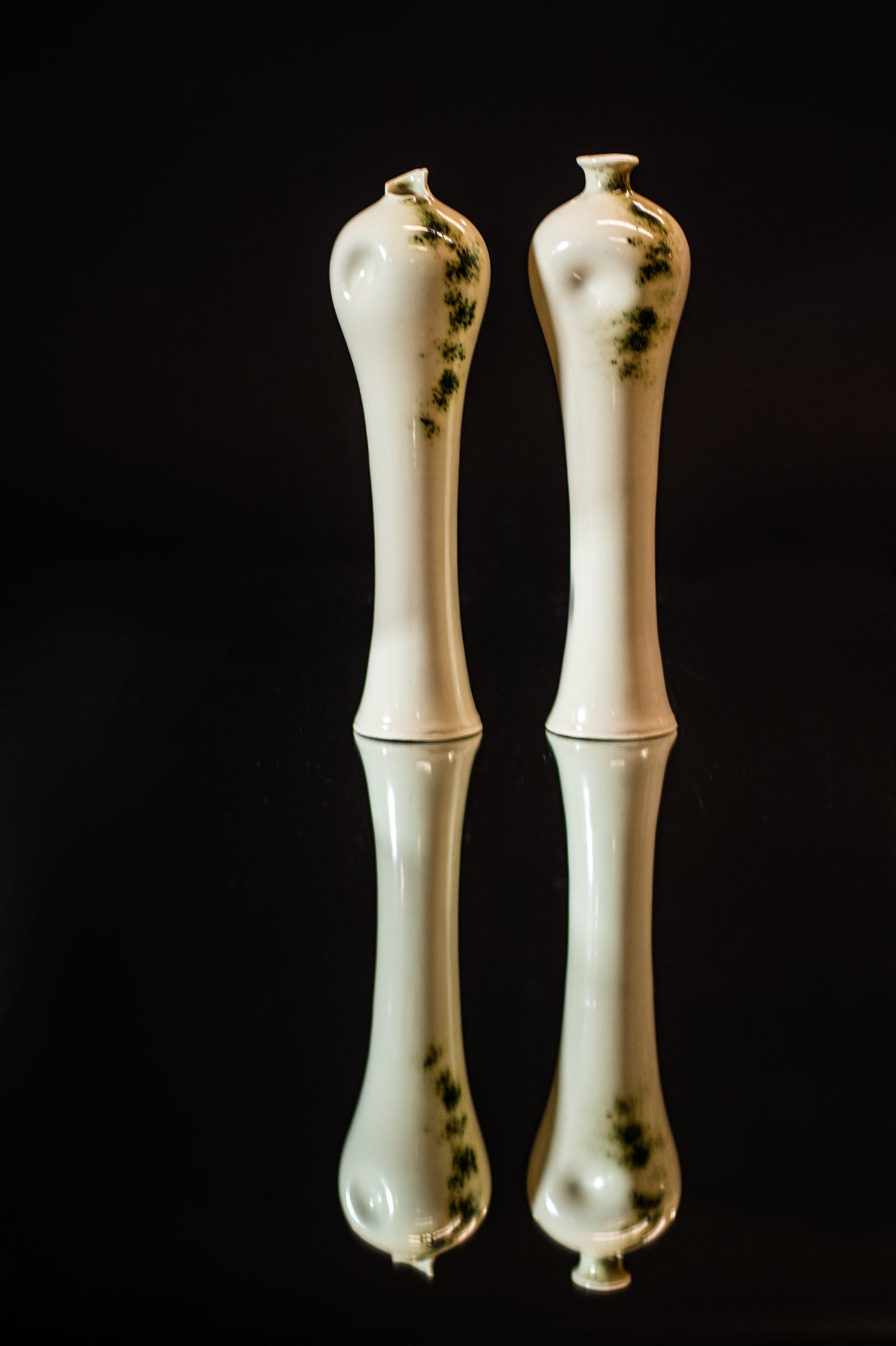 Set of 2 Porcelain Vases